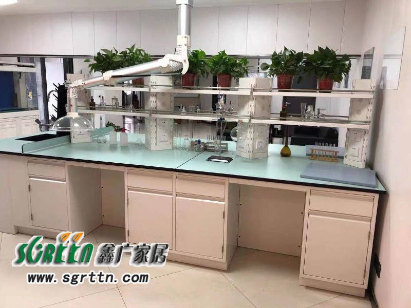 化驗室pp操作臺，實驗臺鋼木化學試驗桌，工作臺學校通風柜，全鋼試驗臺