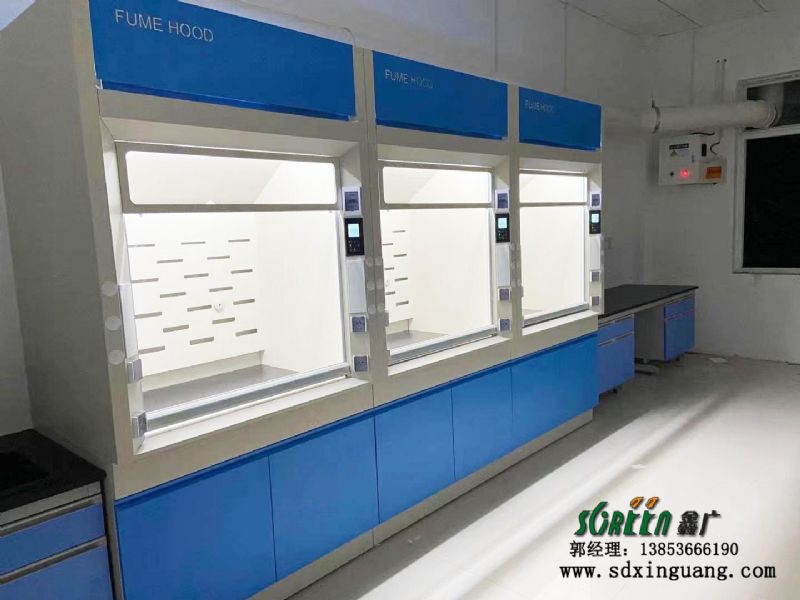 東營(yíng)市山東大明環(huán)保工程技術(shù)有限公司實(shí)驗(yàn)室邊臺(tái)、通風(fēng)系統(tǒng)等實(shí)驗(yàn)室家具安裝現(xiàn)場(chǎng)