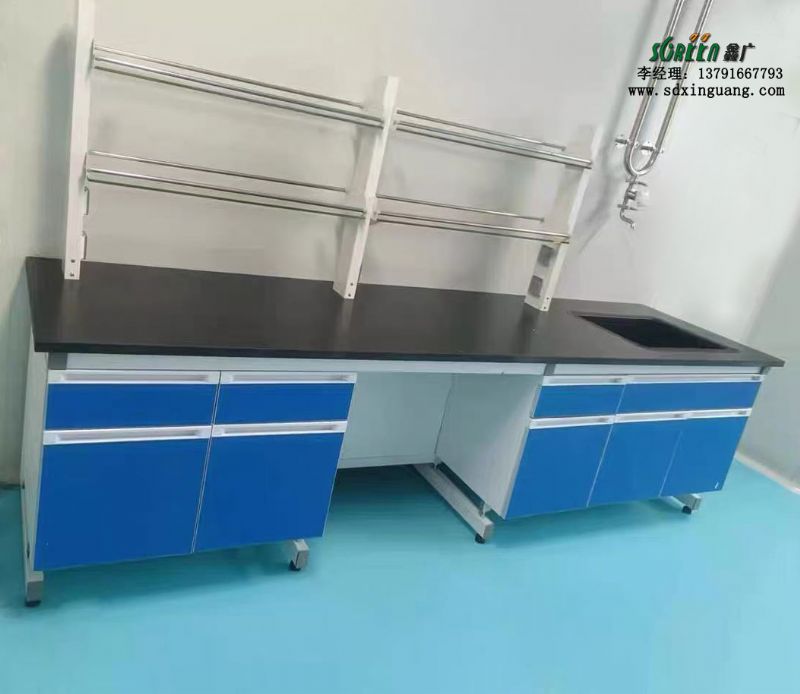 定制實(shí)驗(yàn)臺(tái)鋼木實(shí)驗(yàn)室邊臺(tái)實(shí)驗(yàn)室家具供應(yīng)