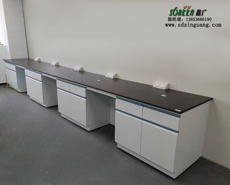 山東全鋼試驗(yàn)臺(tái)實(shí)驗(yàn)室工作臺(tái)通風(fēng)櫥廠家