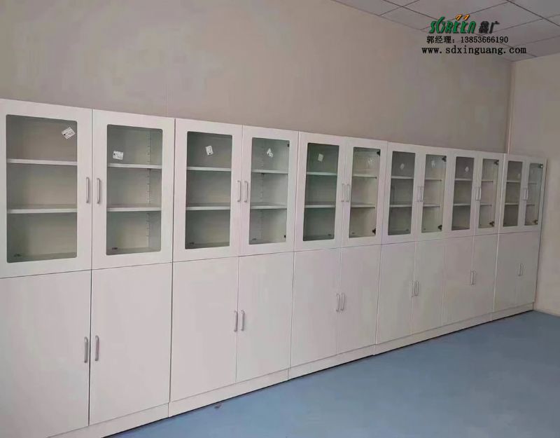山東實驗室設備實驗室全鋼試劑柜器皿柜存放柜