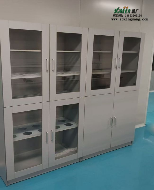 山東實驗室器皿柜試劑柜存儲柜雙鎖廠家